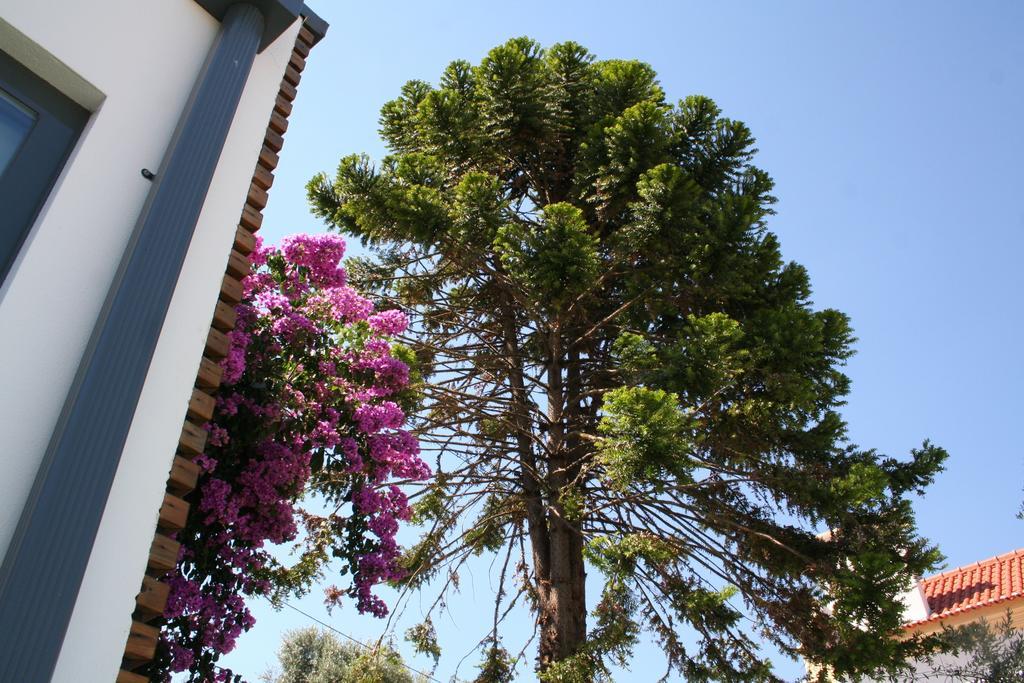 Vilaportuguesa Vila Velha de Rodao Luaran gambar